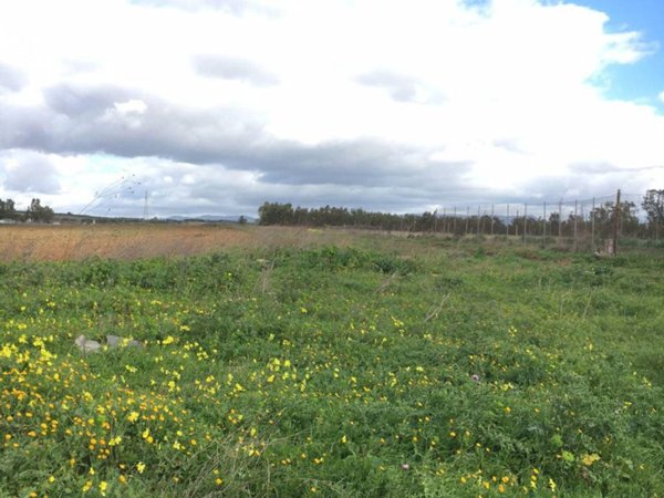 terreno agricolo in vendita a Sestu