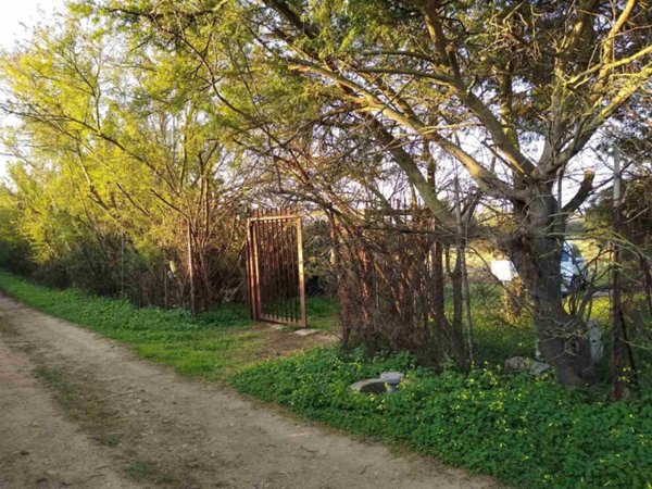terreno agricolo in vendita a Sestu