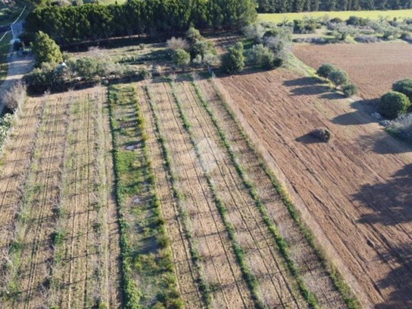 terreno agricolo in vendita a Sestu