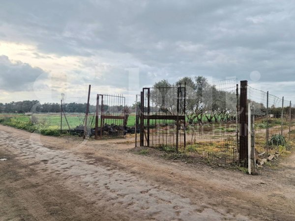 terreno agricolo in vendita a Sestu