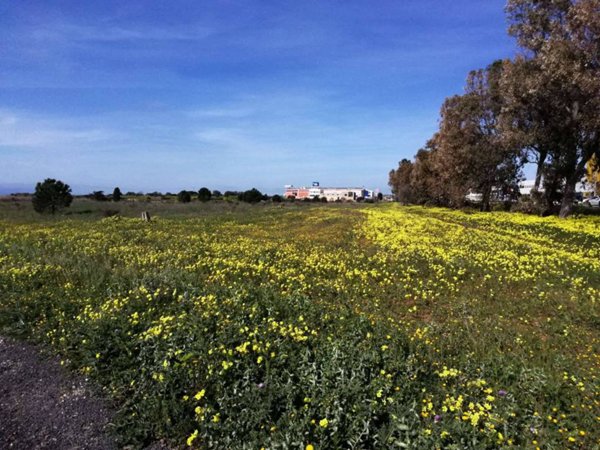 terreno agricolo in vendita a Sestu