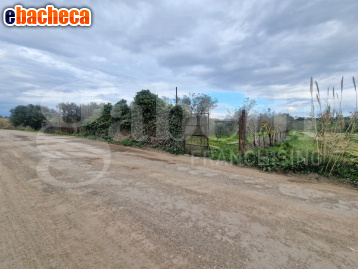terreno edificabile in vendita a Sestu