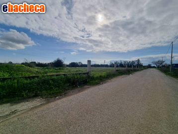 terreno edificabile in vendita a Sestu