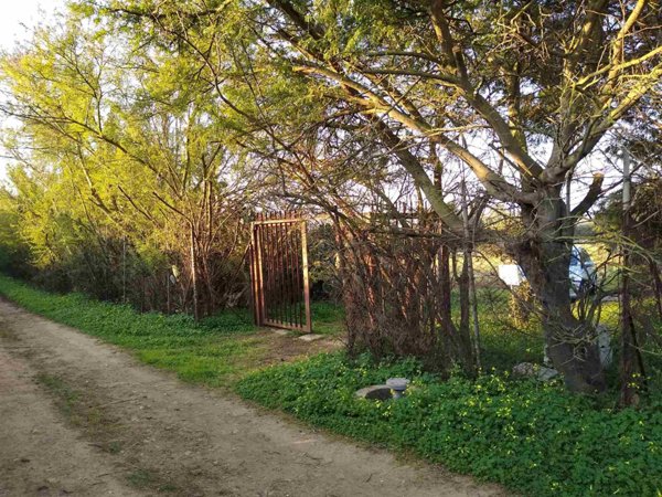 terreno agricolo in vendita a Sestu
