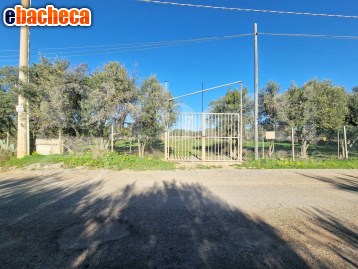 terreno edificabile in vendita a Sestu
