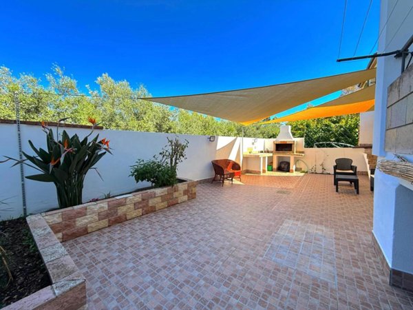 immagine annuncio 0 di 15