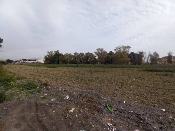 terreno agricolo in vendita a Sestu in zona Dedalo