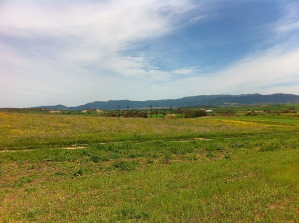 casa indipendente in vendita a Sestu