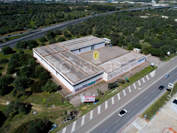 immagine annuncio 0 di 10