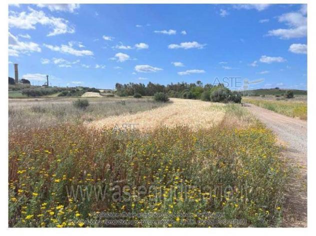 terreno agricolo in vendita a Sestu