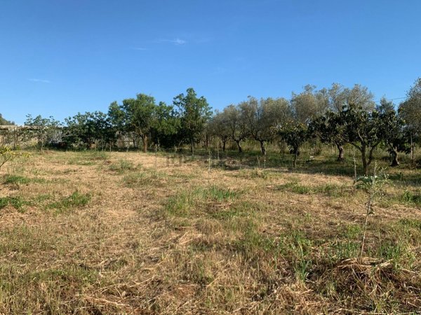 terreno agricolo in vendita a Sestu