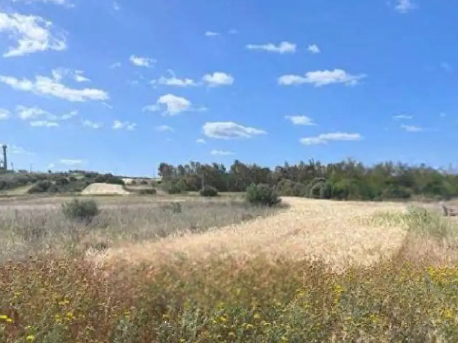 terreno agricolo in vendita a Sestu