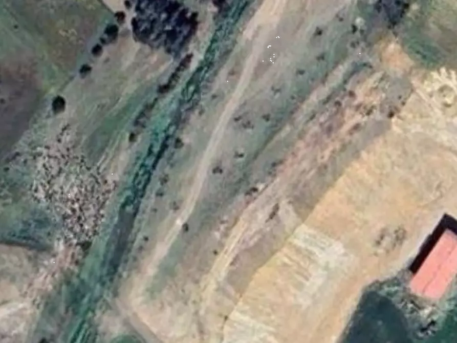 terreno agricolo in vendita a Sestu