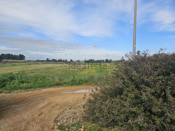 terreno agricolo in vendita a Sestu in zona Cortexandra