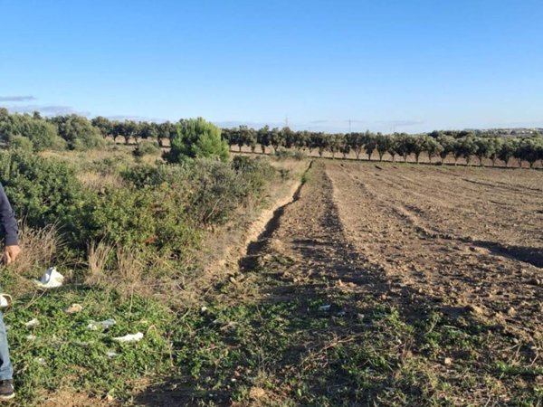 terreno in vendita a Sestu in zona Dedalo