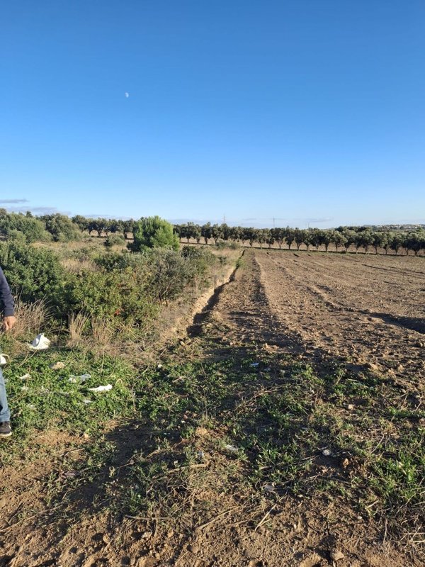 terreno in vendita a Sestu in zona Cortexandra