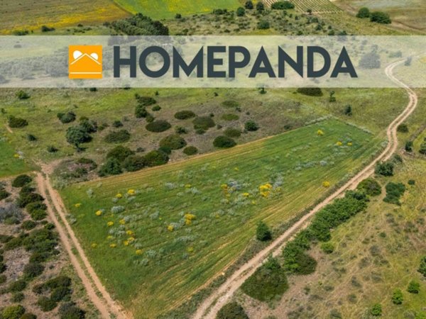 terreno agricolo in vendita a Settimo San Pietro