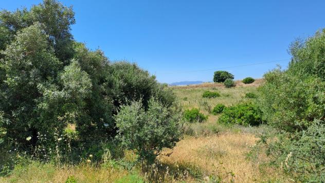 terreno agricolo in vendita a Settimo San Pietro