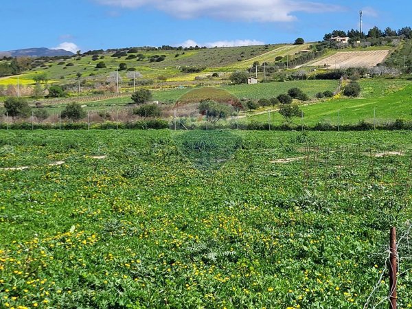terreno agricolo in vendita a Settimo San Pietro