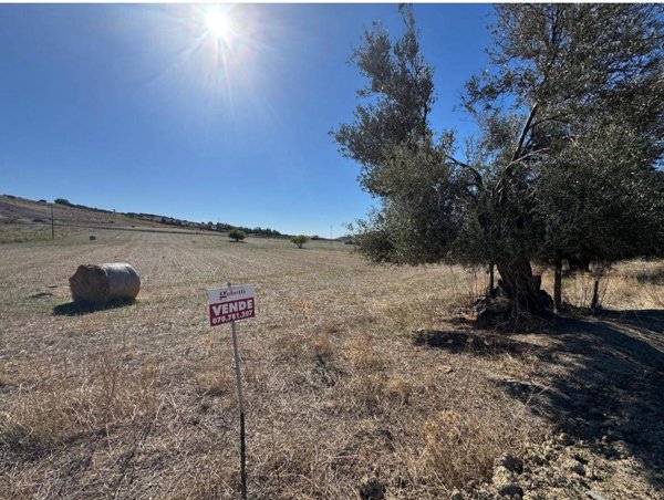 terreno edificabile in vendita a Settimo San Pietro