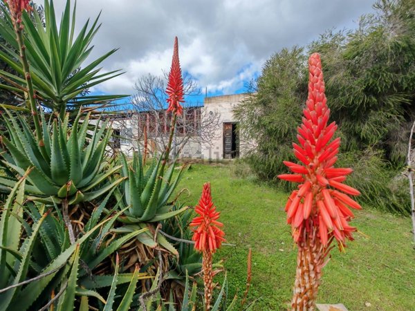 appartamento in vendita a Settimo San Pietro