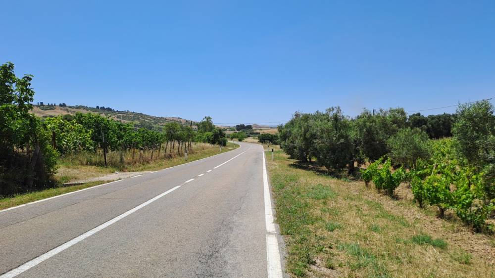 terreno agricolo in vendita a Settimo San Pietro