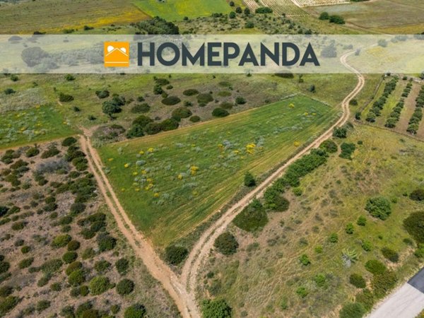 terreno agricolo in vendita a Settimo San Pietro