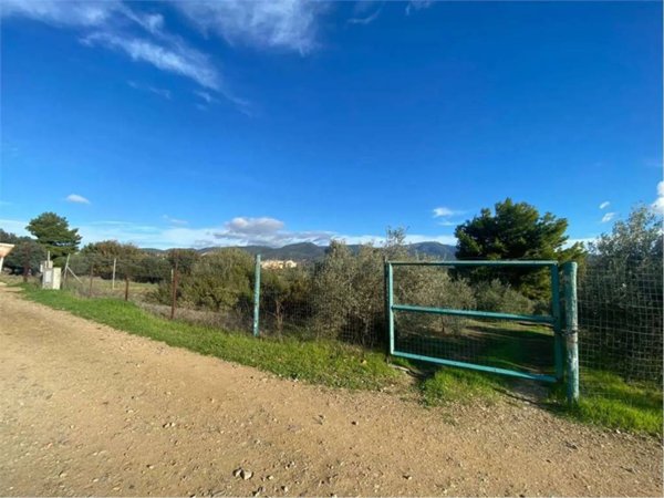 terreno agricolo in vendita a Sinnai
