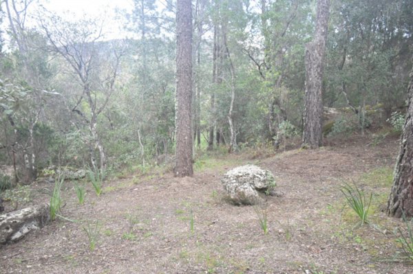 casa indipendente in vendita a Sinnai in zona San Gregorio