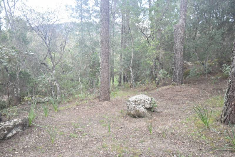 casa indipendente in vendita a Sinnai in zona San Gregorio