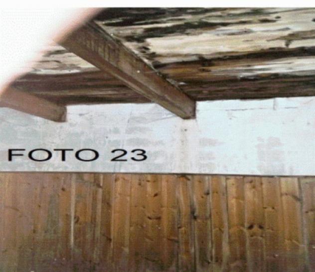 immagine annuncio 0 di 1