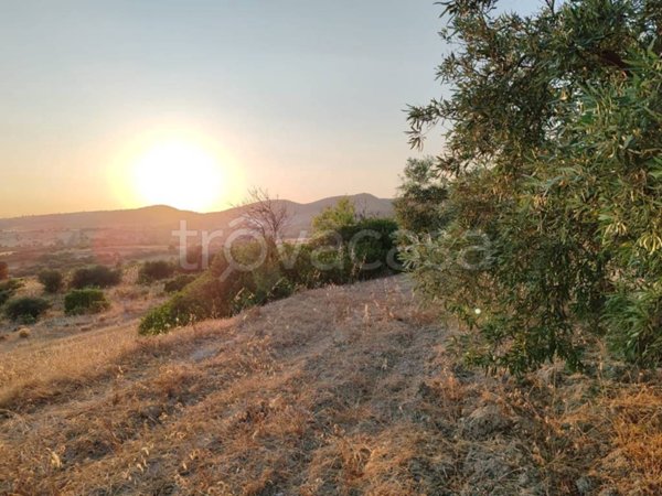 terreno agricolo in vendita a Sinnai