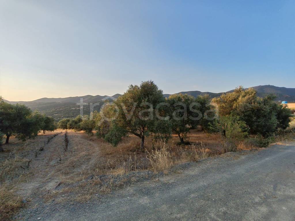 terreno agricolo in vendita a Sinnai
