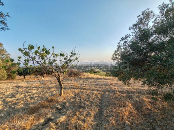 terreno agricolo in vendita a Sinnai