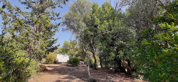 appartamento in vendita a Sinnai in zona Tasonis