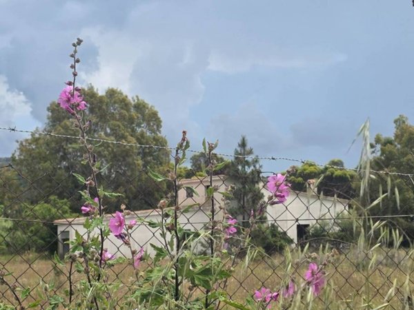 casa indipendente in vendita a Sinnai in zona Tasonis