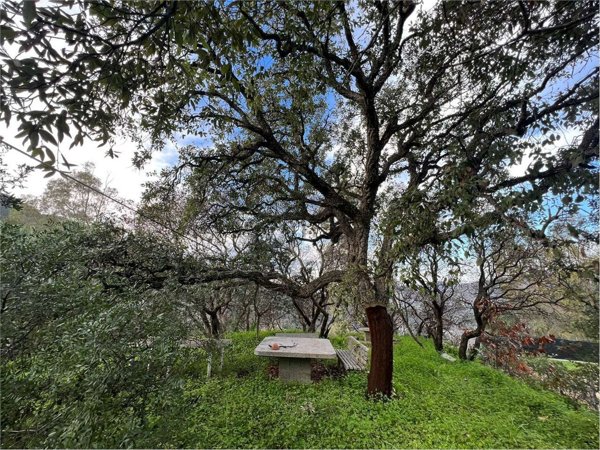 monolocale in vendita a Sinnai