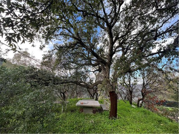 monolocale in vendita a Sinnai