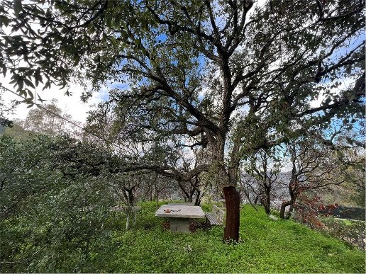 casale in vendita a Sinnai