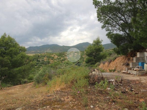 casa indipendente in vendita a Sinnai in zona Tasonis