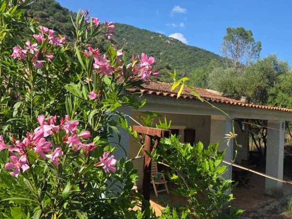 appartamento in vendita a Sinnai in zona San Gregorio
