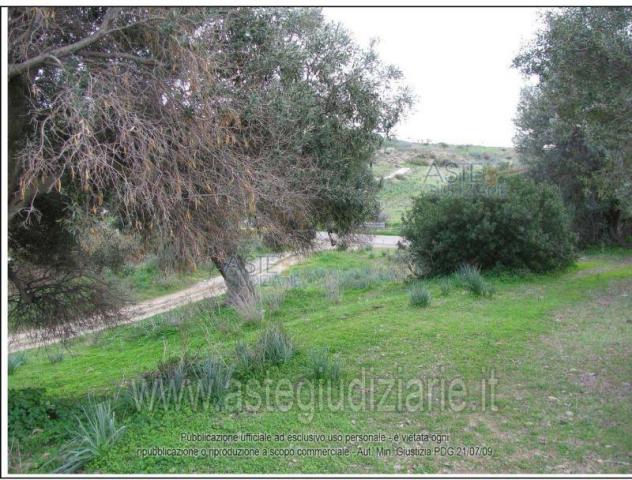 terreno agricolo in vendita a Sinnai