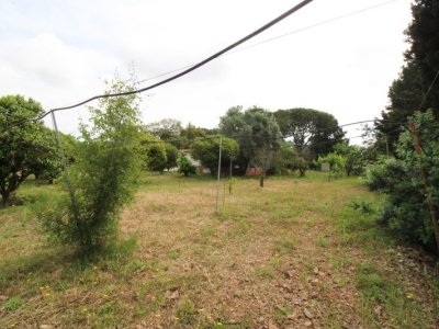 casa indipendente in vendita ad Uta