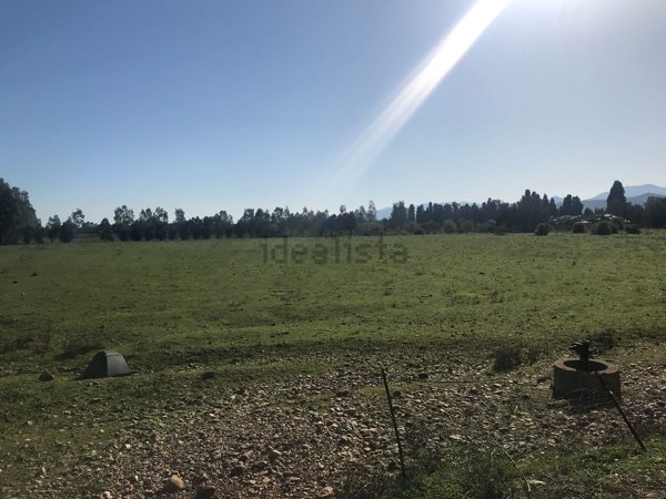 immagine annuncio 0 di 1