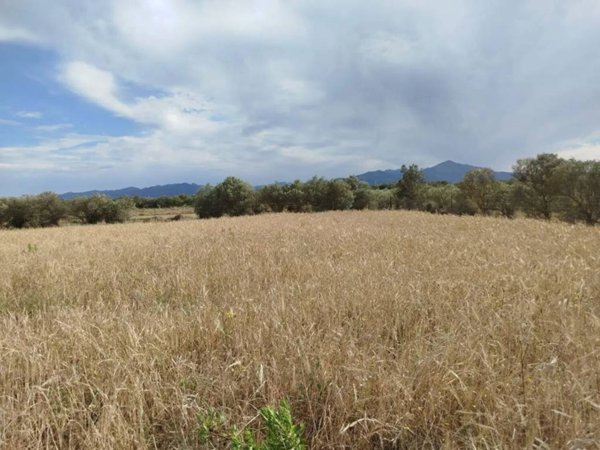 terreno agricolo in vendita ad Uta