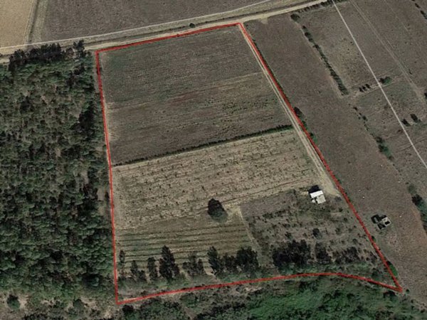 terreno agricolo in vendita ad Uta