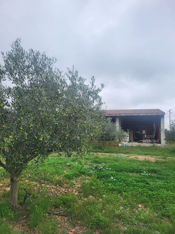 esavano in vendita ad Uta