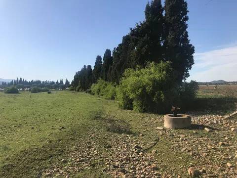 terreno agricolo in vendita ad Uta
