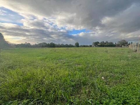 terreno agricolo in vendita ad Uta