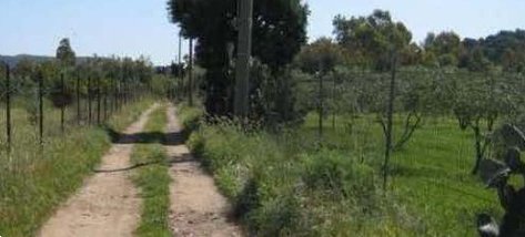 casa indipendente in vendita a Villa San Pietro